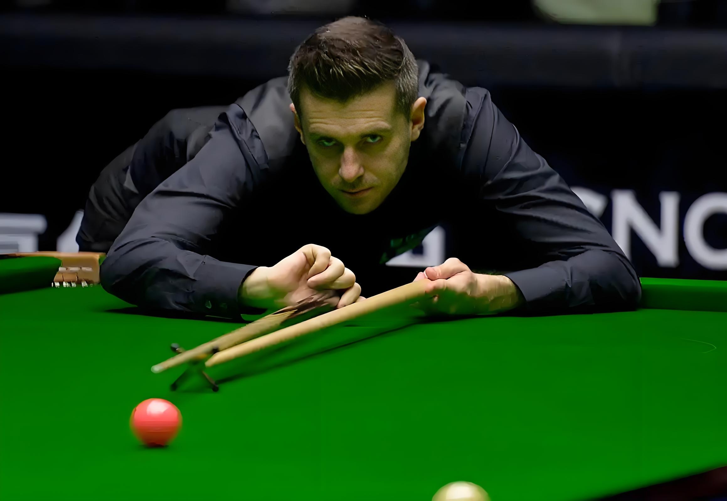 预计最多 预计最多