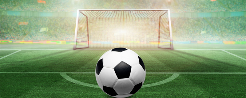 生命力来自 生命力来自